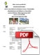 pdf-em-seminar-arosa